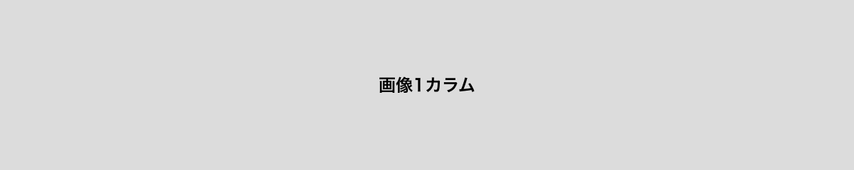 ダミー画像